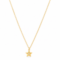 Collar Estrella Dorada