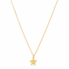 Collar Estrella Dorada