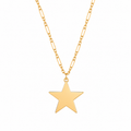 Collar Silver Gold Star
