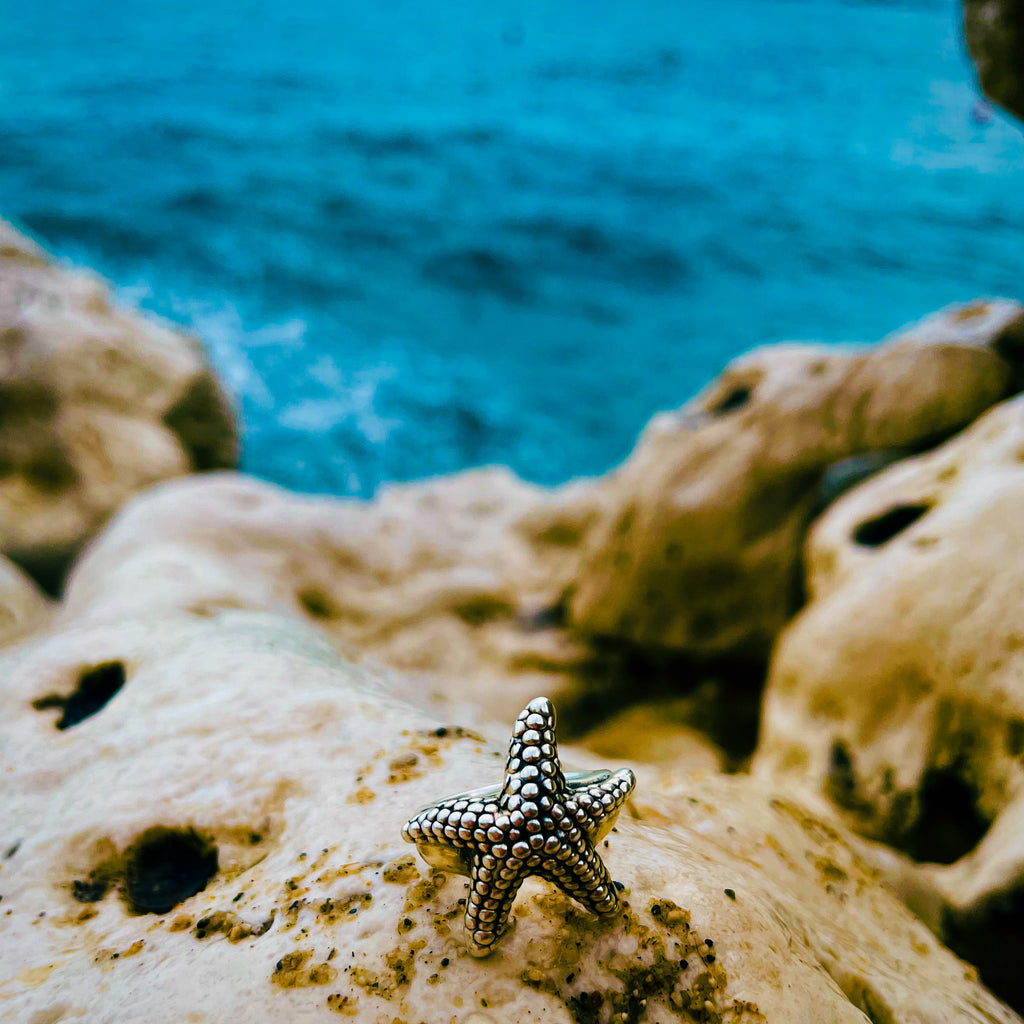 Anillo del MAR