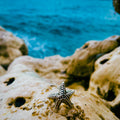 Anillo del MAR