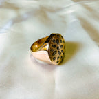 Anillo Garden