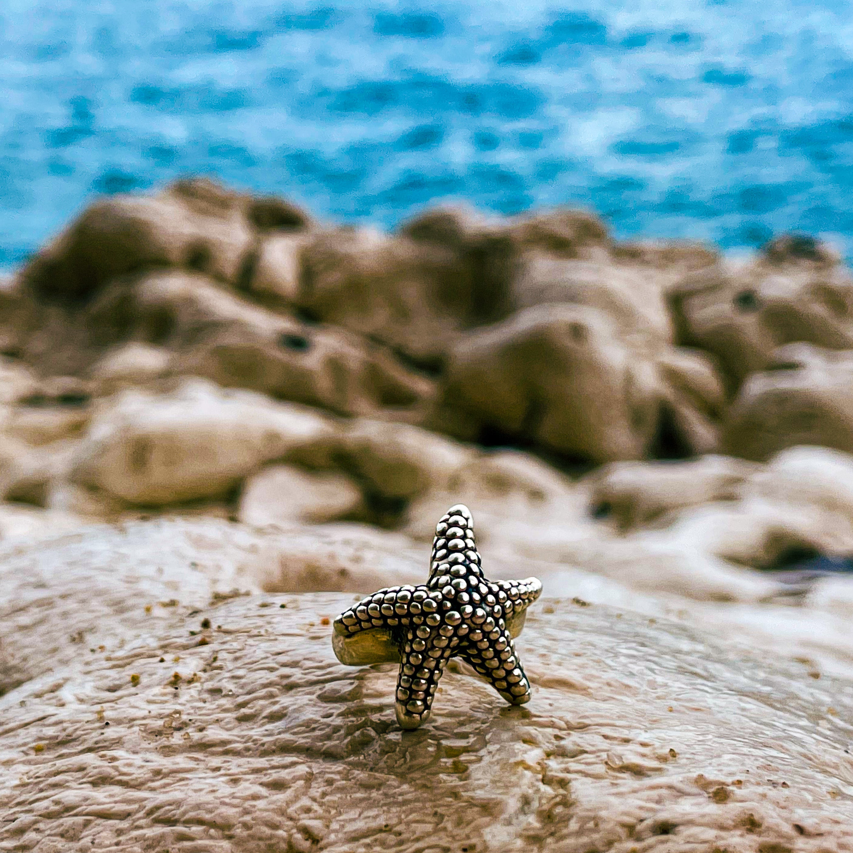 Anillo del MAR
