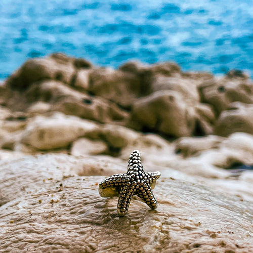 Anillo del MAR